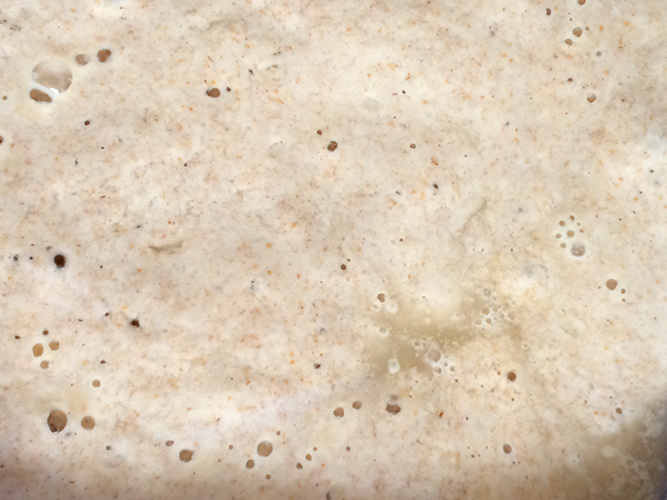 Fermenting Away